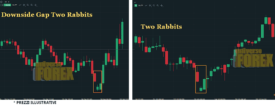 two_rabbits_and_downside_two_rabbits