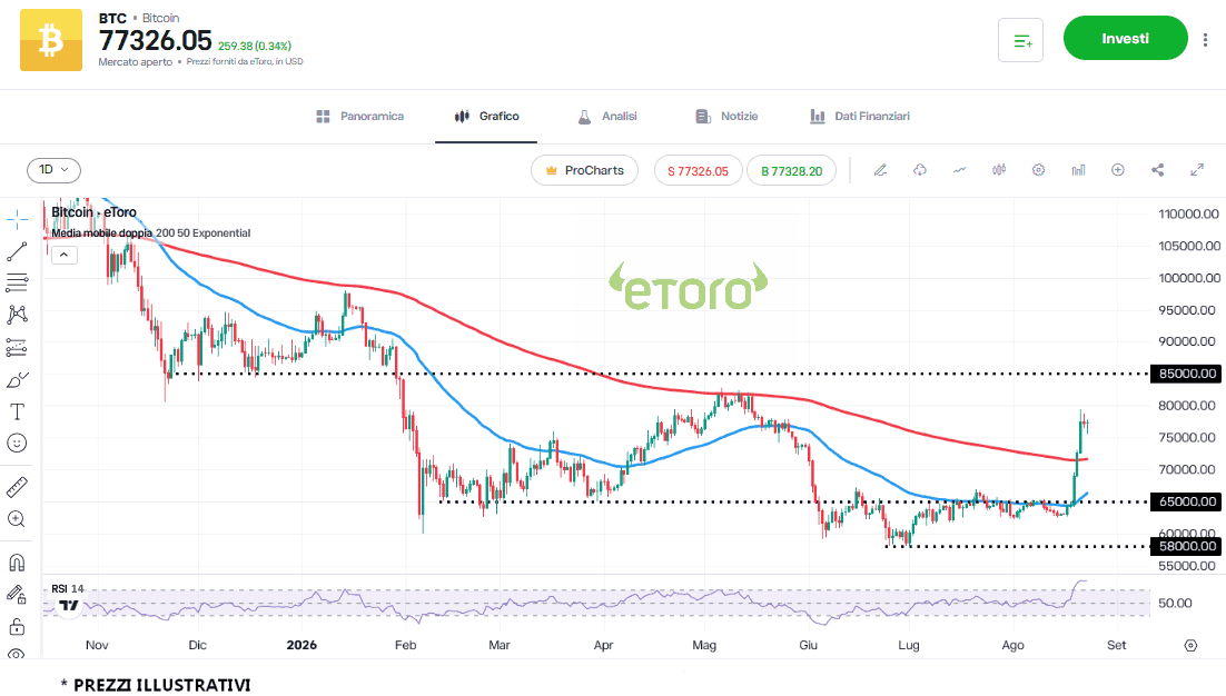 btc-24-8
